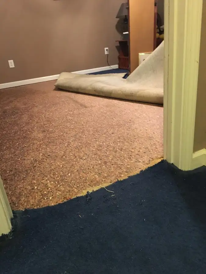 Carpet pad removal revealing water damage during Drying & Dehumidification in Metuchen