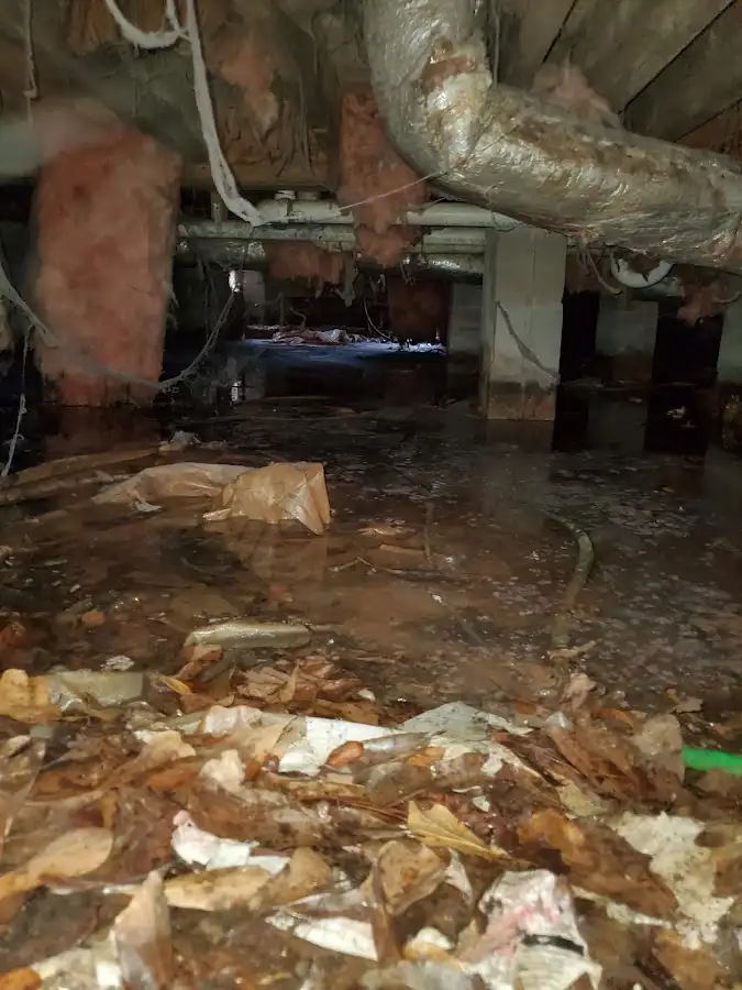 Crawl space flood assessment for Leak Detection & Repair in Metuchen