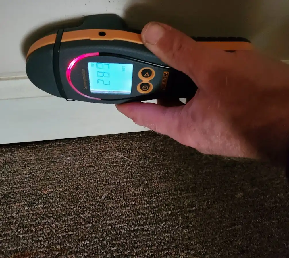 Moisture detection at baseboard during Sewage Cleanup & Sanitation in Metuchen